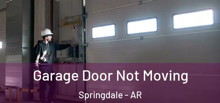  Garage Door Not Moving Springdale - AR