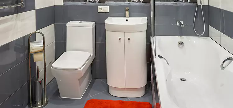 Hansgrohe Shaving Mirror Springdale